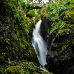 Aira Force