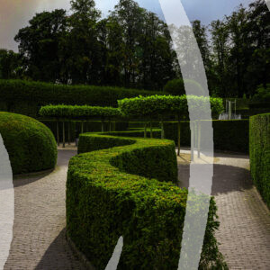 Alnwick Gardens Maze