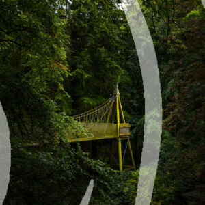 Alnwick Gardens Swing Bridge