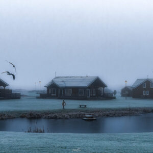 Frozen Winters Morning