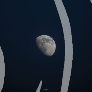 Light Side of the Moon