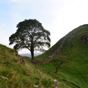 Sycamore Gap
