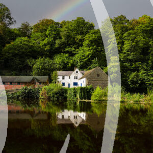 The River Wear