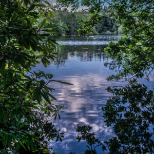 Bolam Lake