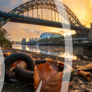 Autumn Tyne