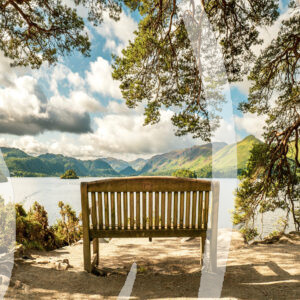 Bench With a View