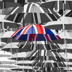 Durham Platinum Jubilee Umbrellas - Mono
