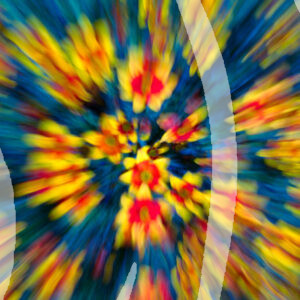 Flower Burst