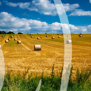 Straw bales