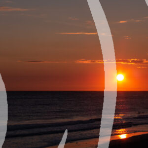 Surfers at sunset