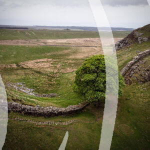 Sycamore Gap from the Sky