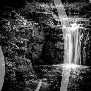 Jesmond Dene in Monochrome