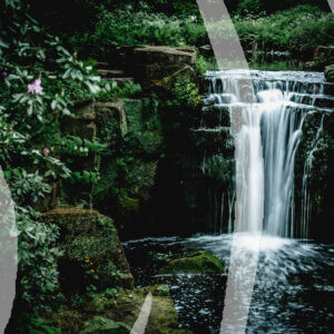 Jesmond Dene in colour