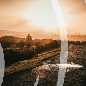 Rising Sun Puddle