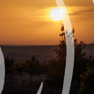 Sunset over Ashdown Forest