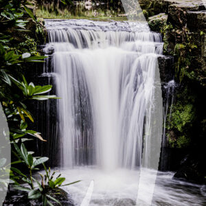 Waterfall, Jesmond Dene