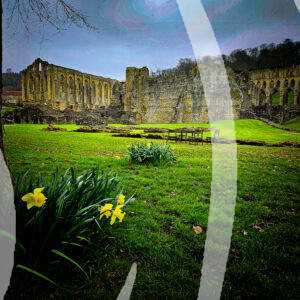 Rievaulx Abbey