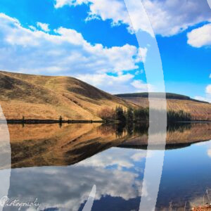 Scottish Water
